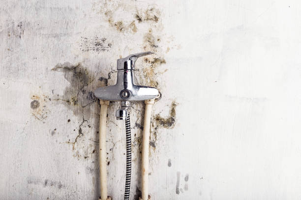 Best Water Damage Restoration  in Walkertown, NC