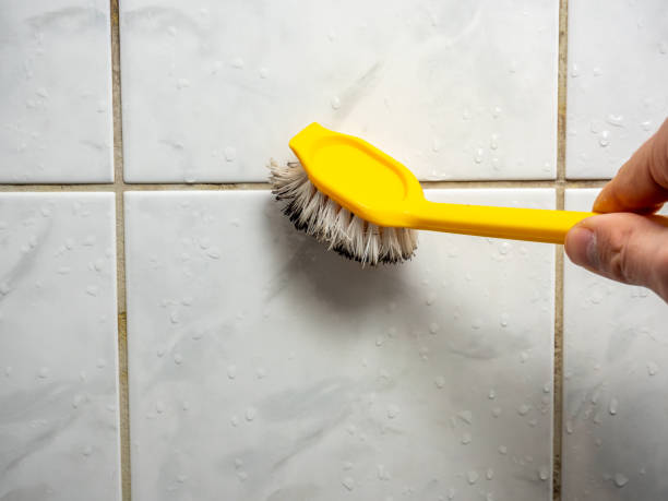 Best Mold Removal Specialists  in Walkertown, NC