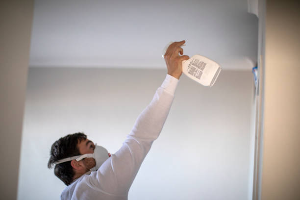 Best Office Mold Removal Services  in Walkertown, NC