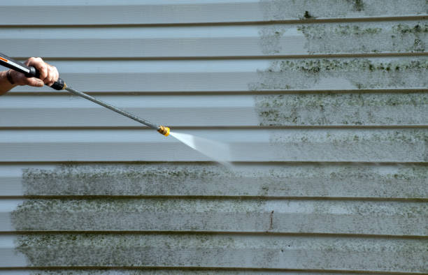 Best Attic Mold Removal  in Walkertown, NC