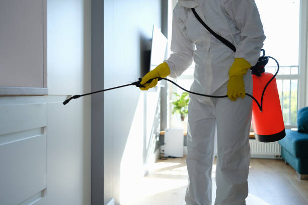 Best Mold Testing  in Walkertown, NC